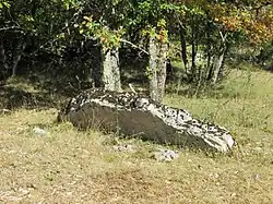 Dolmen de Caoumadou no&nbsp;1