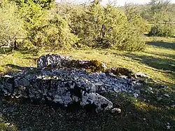 Dolmen de Sabin