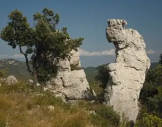 Montagne de la Loube, Var, France.