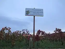 Romanée saint-vivant