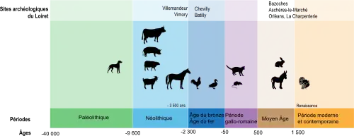 Frise chronologique de l'apparition des principaux animaux domestiques ou familiers