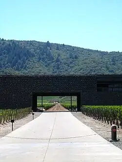 Cave Dominus&nbsp;(en) à Napa Valley.