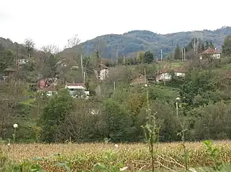 Donji Banjani