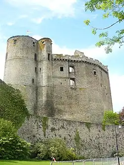 Le logis seigneurial et les tours donjon.