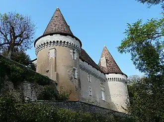 Image illustrative de l’article Château de Mauriac (Douzillac)