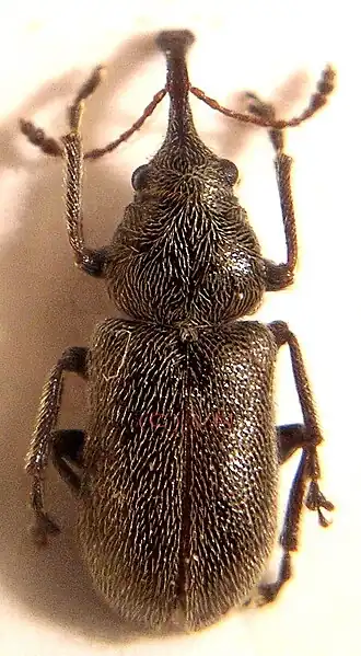 Description de cette image, également commentée ci-après