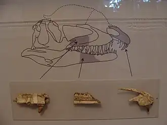 Description de cette image, également commentée ci-après