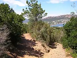 Rencontre de deux sentiers sur le flanc est du Dramont