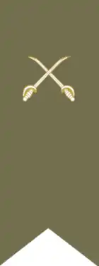 Image illustrative de l’article Garde républicaine algérienne