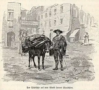 Un Valaque d'Istrie (Tschitsche en allemand) vers la fin du XIXe&nbsp;siècle.