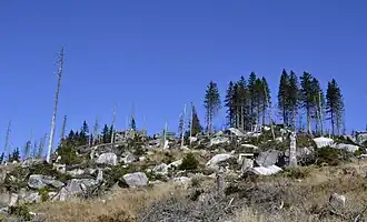 Vue du sommet du Dreisesselberg.
