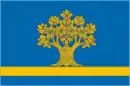 Drapeau de Doubovka