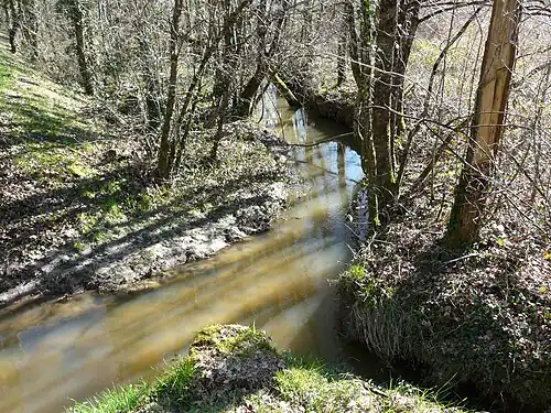 La Duche au pont de la RD 41, en limite d'Échourgnac (à gauche) et de Servanches.