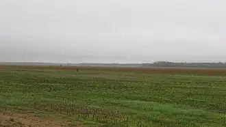 New Haven Township (Illinois)