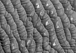 Les dunes d'Olympia Undae, vues par HiRISE. Deux ensembles de dunes transversales sont visibles, indiquant la direction variable du vent.
