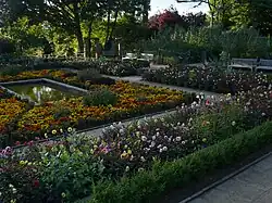 Le jardin multicolore.