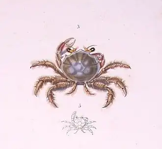 Description de cette image, également commentée ci-après