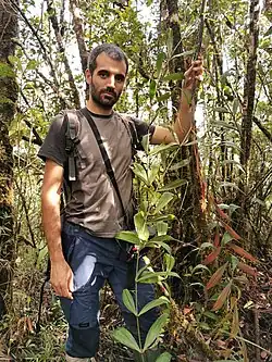 Description de l'image Dypsis andilamenensis Boluda17125 i.jpg.