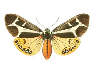 Description de cette image, également commentée ci-après