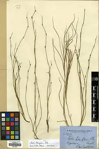 Description de cette image, également commentée ci-après