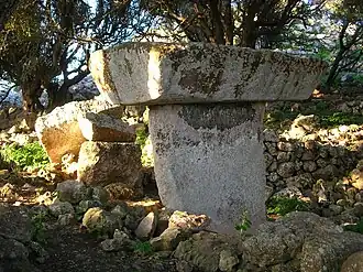 Image illustrative de l’article Torrellafuda