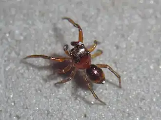 Description de cette image, également commentée ci-après