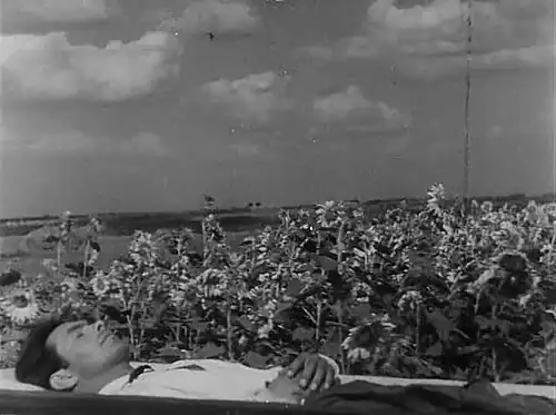 La Terre (1930) d'Alexandre Dovjenko