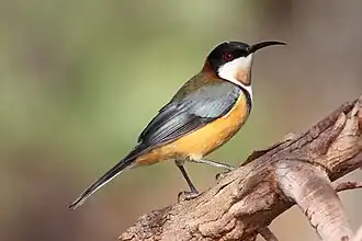 Description de cette image, également commentée ci-après