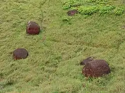 Sur les pentes du Puna Pau, des pukao (chapeaux) abandonnés.