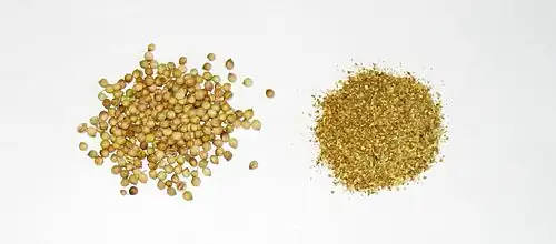 Fruits de coriandre entiers et moulus.