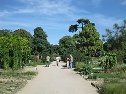 L'école de botanique en été, vue depuis la serre tropicale.