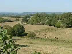 Paysage vers Écuras.