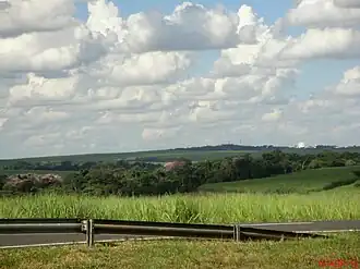 Santa Adélia