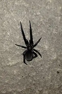 Description de l'image EdqEI5eUwAYgvUz.jpg.