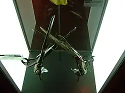 Une paire de ciseaux géants et personnalisés exposés dans une vitrine.