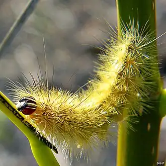 Description de cette image, également commentée ci-après