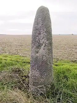 Image illustrative de l’article Menhir d'Eilsleben