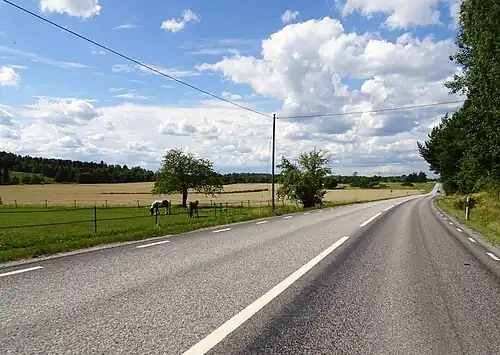 La route près d'Ekerö.