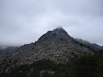 Pic El Torreon&nbsp;(es)