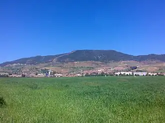 El Amra (Algérie)