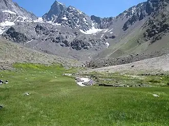 Pelouse alpine au monument naturel El Morado, 2011