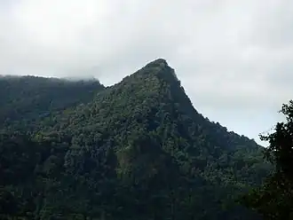 Vue du mont El Tucuche.