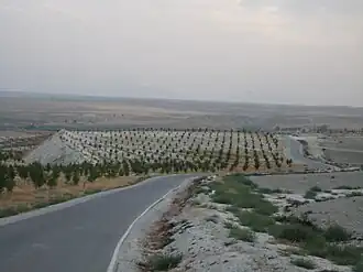 Les alentours de la vallée de Baza