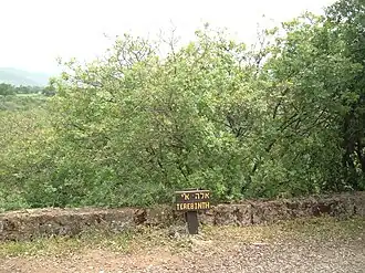 Description de cette image, également commentée ci-après