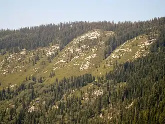 Image illustrative de l’article Forêt nationale d'Eldorado