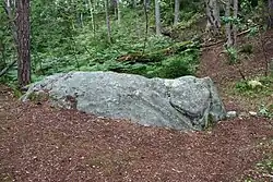 Une roche ressemblant vaguement à un éléphant dans une forêt.