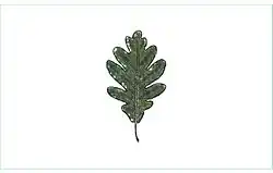 Drapeau de El Robledo