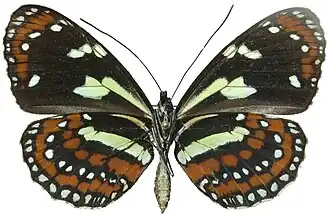 Description de cette image, également commentée ci-après