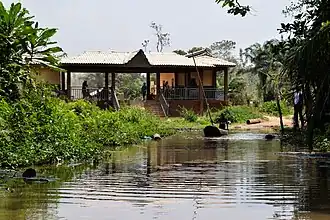 Image illustrative de l’article Forêt marécageuse de Lokoli