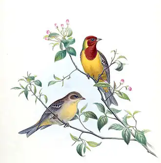 Description de cette image, également commentée ci-après